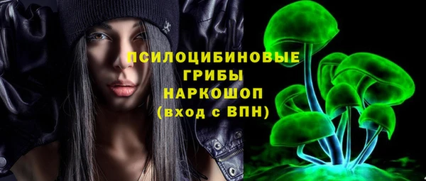 наркотики Бородино