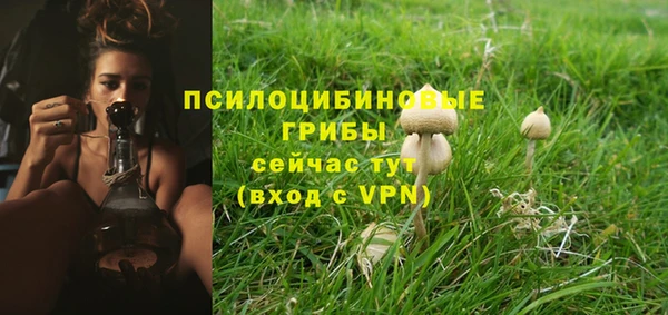 мескалин Бронницы
