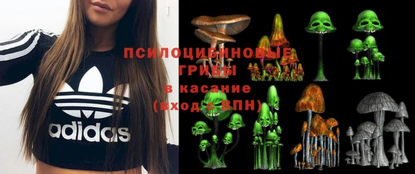мескалин Бронницы