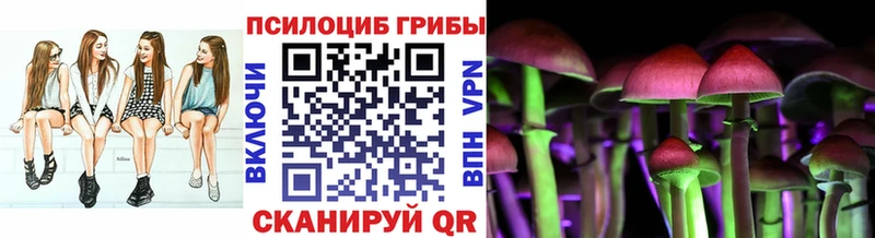 Псилоцибиновые грибы Psilocybe  сколько стоит  Будённовск 